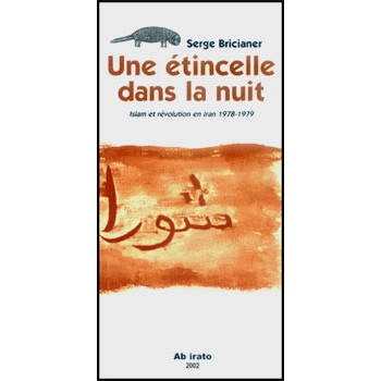 Livre UNE ETINCELLE DANS LA NUIT