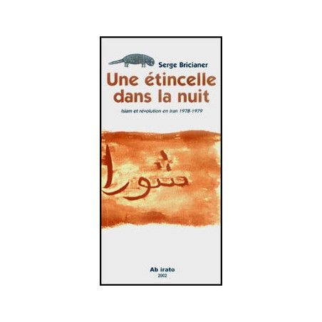 Livre UNE ETINCELLE DANS LA NUIT