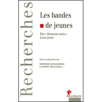 Book LES BANDES DE JEUNES