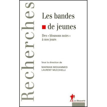 Book LES BANDES DE JEUNES Book LES BANDES DE JEUNES