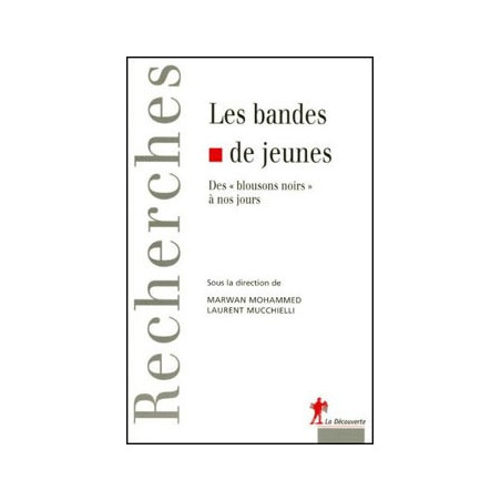Book LES BANDES DE JEUNES