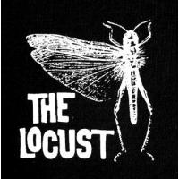 Patch THE LOCUST