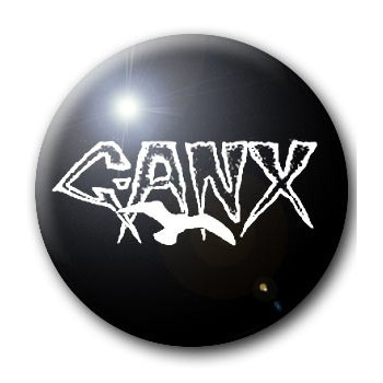 Badge G-ANX