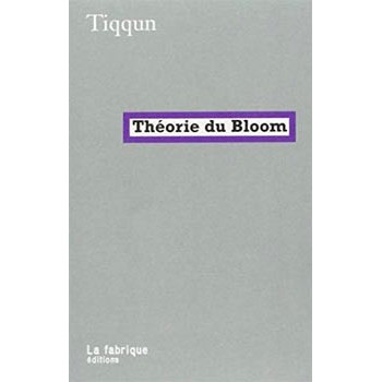 Livre THÉORIE DU BLOOM