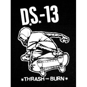 DS-13 Patch