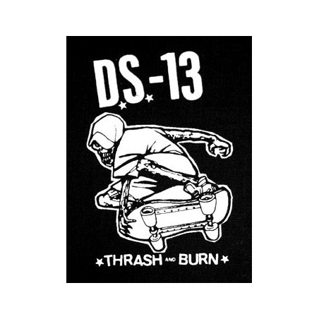 DS-13 Patch