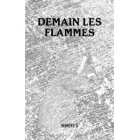 DEMAIN LES FLAMMES N°5