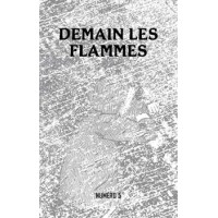 Livre DEMAIN LES FLAMMES N°5