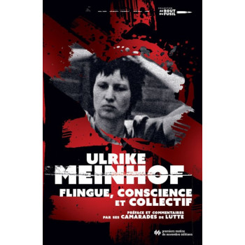 livre ULRIKE MEINHOF - FLINGUE, CONSCIENCE ET COLLECTIF