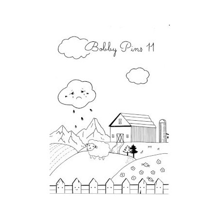 BOBBY PINS FANZINE N°11