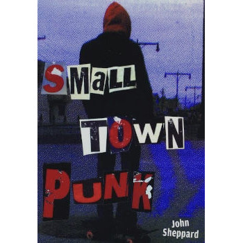 livre small town punk