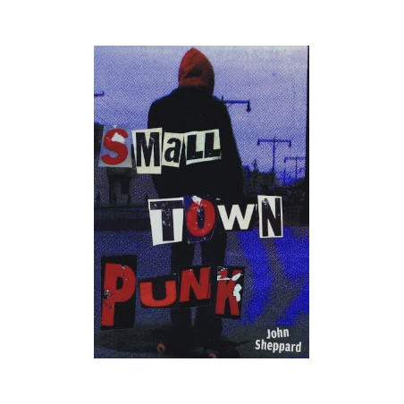 livre small town punk
